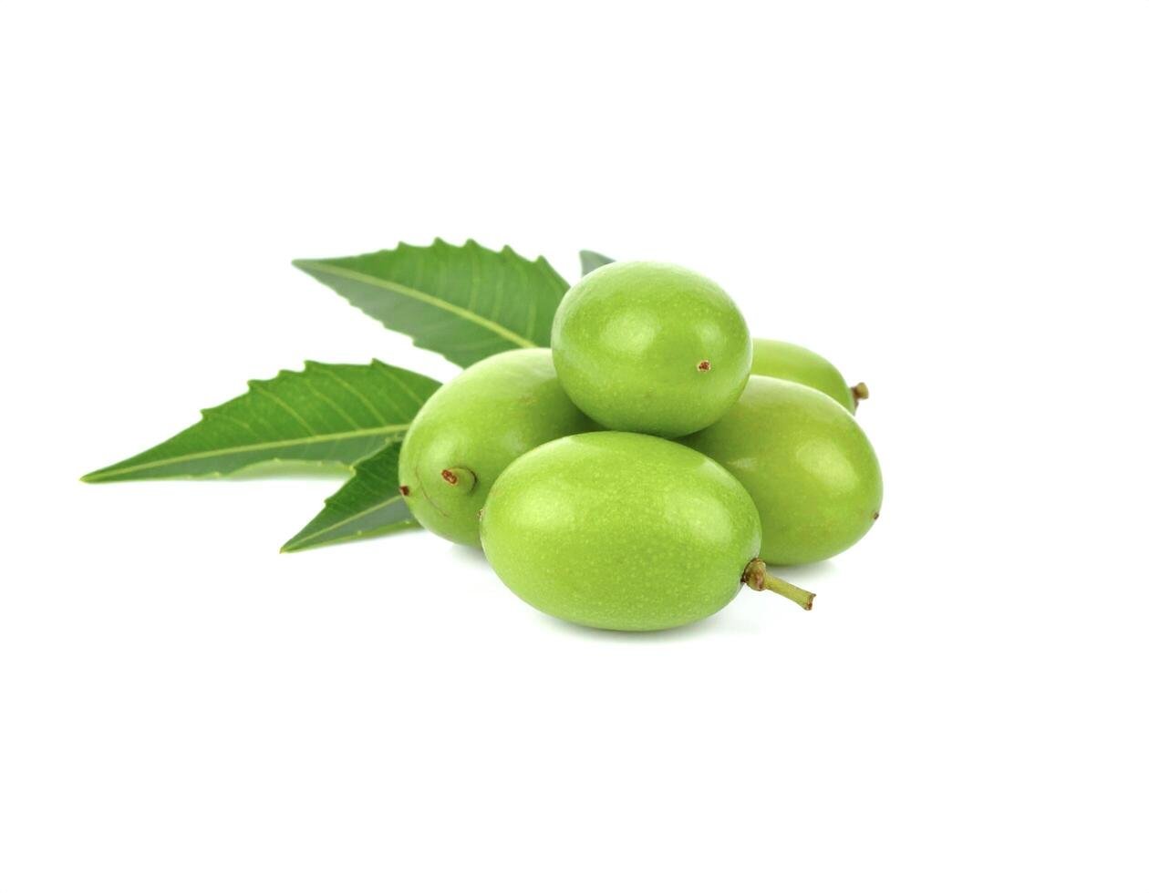 soaps-and-all-neem-oil