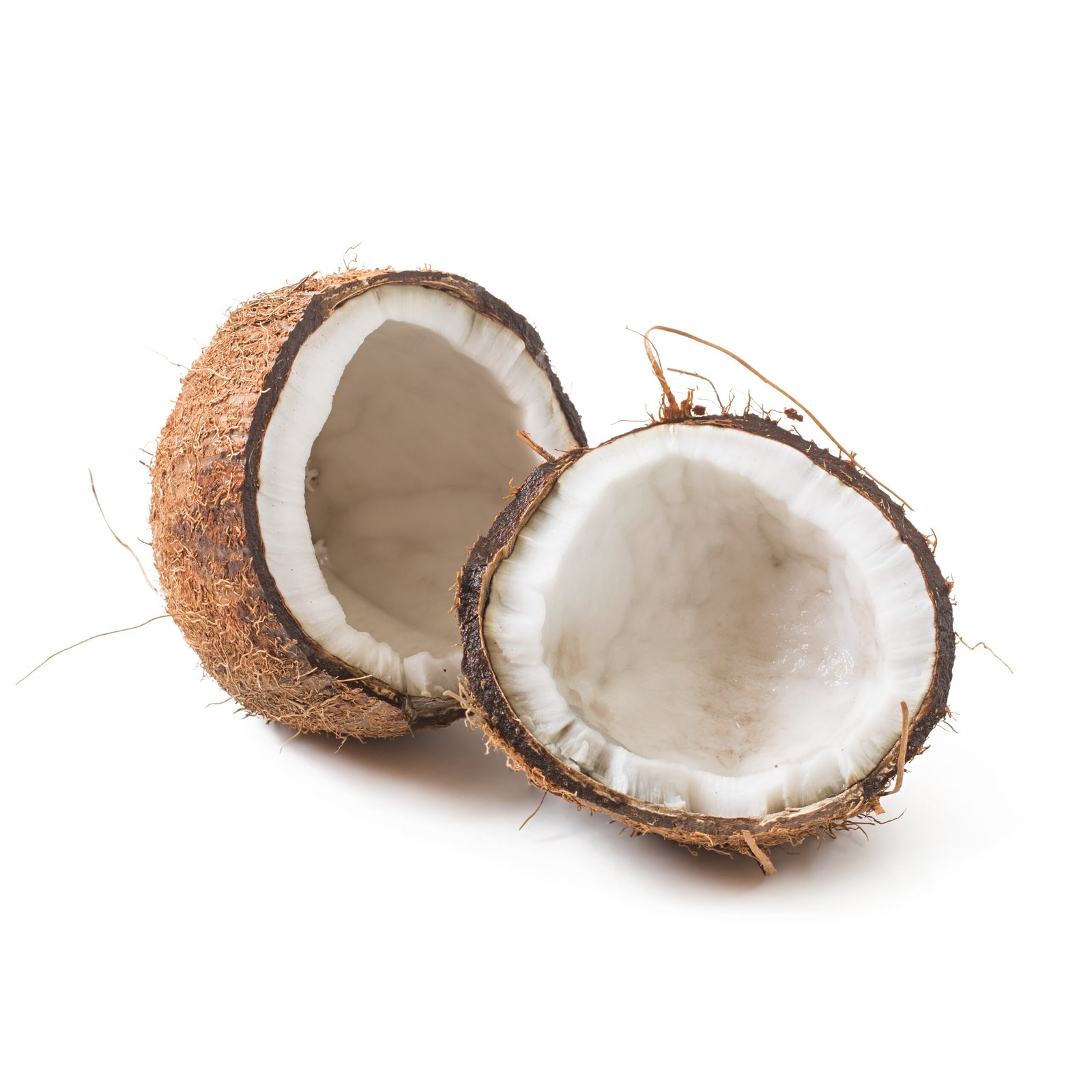 coconut oil refined